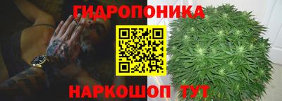 прущие грибы Аргун