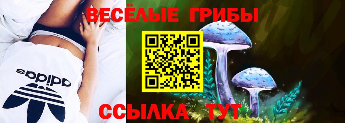 Галлюциногенные грибы ЛСД  закладки  Борзя  Вход с VPN 